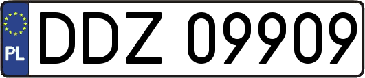 DDZ09909