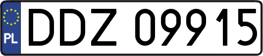 DDZ09915