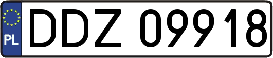 DDZ09918
