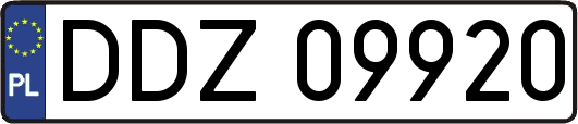DDZ09920