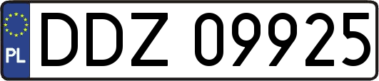 DDZ09925