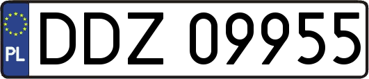 DDZ09955