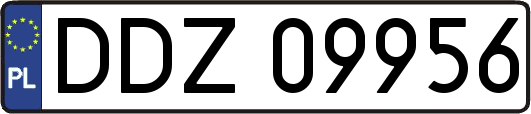 DDZ09956