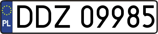 DDZ09985