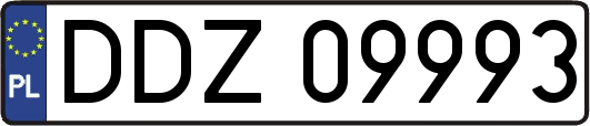 DDZ09993