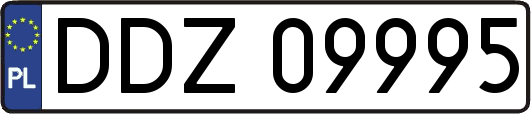 DDZ09995