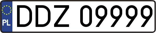 DDZ09999