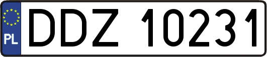 DDZ10231