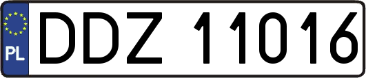 DDZ11016