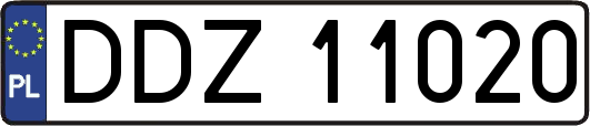 DDZ11020