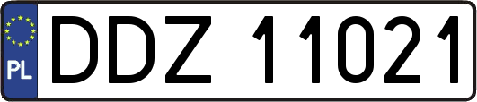 DDZ11021