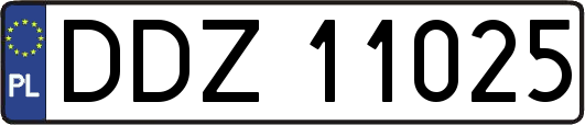 DDZ11025