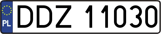 DDZ11030