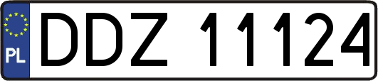 DDZ11124