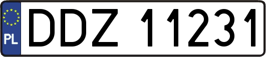 DDZ11231