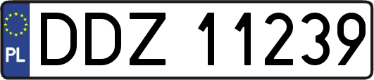 DDZ11239
