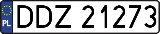 DDZ21273