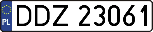 DDZ23061
