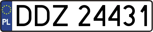 DDZ24431