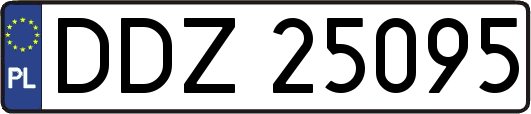 DDZ25095