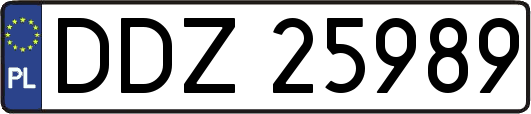 DDZ25989