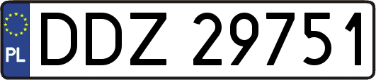 DDZ29751