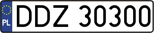 DDZ30300