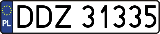 DDZ31335