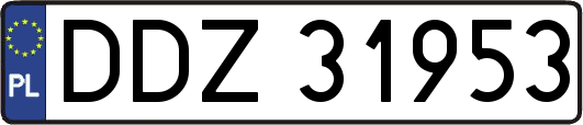 DDZ31953