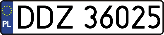 DDZ36025