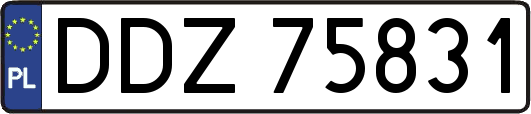 DDZ75831