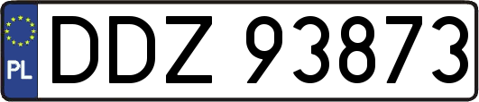 DDZ93873