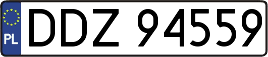 DDZ94559