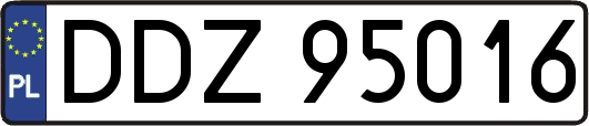 DDZ95016