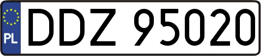 DDZ95020