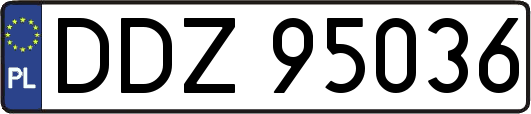 DDZ95036