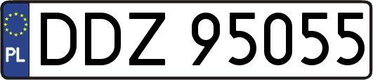 DDZ95055