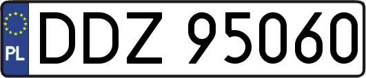 DDZ95060
