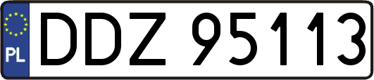DDZ95113