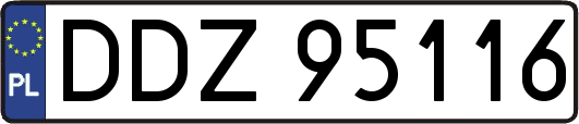 DDZ95116