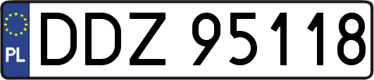 DDZ95118