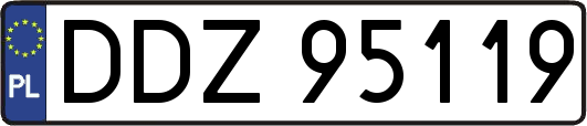 DDZ95119