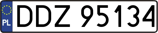DDZ95134