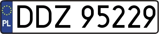 DDZ95229