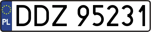 DDZ95231