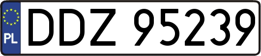 DDZ95239