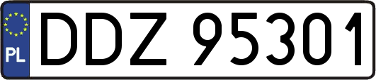 DDZ95301
