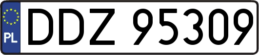 DDZ95309