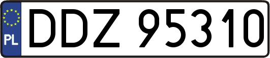 DDZ95310