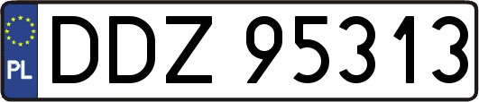 DDZ95313